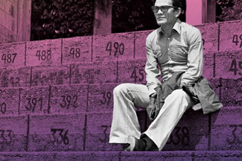 Immagine di Pier Paolo Pasolini in bianco e nero seduto su dei gradini