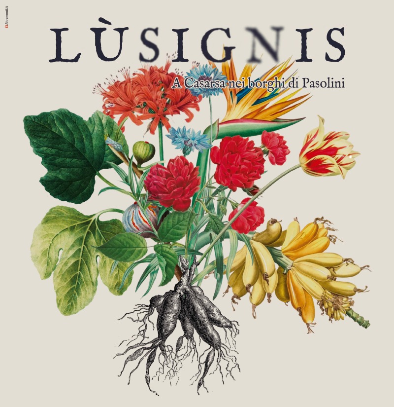 Lusignis